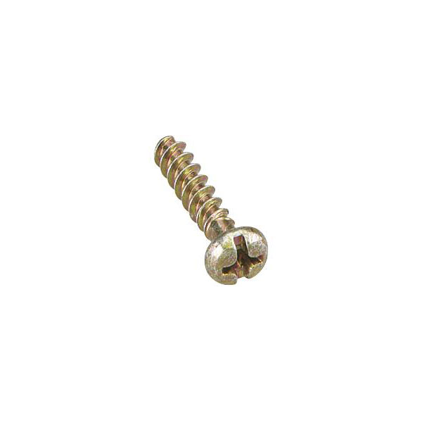 Spelsberg 79541301 SR NS35 screws 30 pcs for TR NS35-xx carrier set