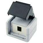 Telegärtner 100021369 Network outlet Surface-mount 1 port Grey