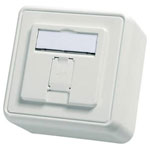 Telegärtner 100021381 Network outlet Surface-mount 1 port Alpine white