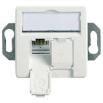 Telegärtner 100022957 Network outlet CAT6A 2 ports Alpine white