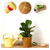 tesa 41234-00001-00 SUGRU Paste 3 pc set in pink orange green