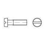 Toolcraft TO-5445459 Allen Screws M3 8mm DIN 84 Polyamide 200 Pcs