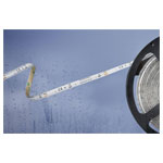 Barthelme 51540434 Basic LED Strip 12 V 5 m Cool White IP54 Waterproof