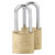 Burg Wächter 29961 CASTLE GUARD Padlock Set 20mm Brass Keyed Alike 2Pieces