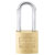 Burg Wächter 29961 CASTLE GUARD Padlock Set 20mm Brass Keyed Alike 2Pieces
