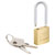 Burg Wächter 29961 CASTLE GUARD Padlock Set 20mm Brass Keyed Alike 2Pieces
