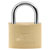 Burg Wächter 3031 Padlock Brass Body Hard Steel Bracket Double Locked