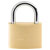 Burg Wächter 3031 Padlock Brass Body Hard Steel Bracket Double Locked