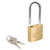 Burg Wächter 33591 C-Line Padlock Solid Brass 20mm Keyed-Different