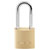 Burg Wächter 33591 C-Line Padlock Solid Brass 20mm Keyed-Different