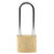 Burg Wächter 33681 C-Line Padlock Brass 40mm Steel-Hard Double Lock