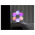 Cololight CL161  Smart RGBW LED Kit for Alexa/Google Expandable