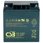 CSB EVX12300 Battery 12V 30Ah AGM 166x175x125mm M5 Long Life Maintenance-Free