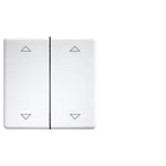 Eltako 30000986 DW-FT55 2 Gang Rocker Double Rocker Laser Engraved