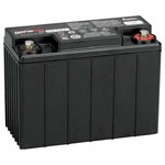 EnerSys G13EP0770-2007 Genesis VRLA 12V 13Ah AGM Battery, Maintenance-Free
