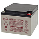 EnerSys NP24-12 Genesis VRLA 12V 24Ah AGM, VDS Cert, Maintenance-Free