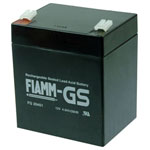 Fiamm FG20451 VRLA Battery 12V 4.5Ah AGM Maintenance-Free Low Discharge