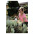 Hozelock 4200 0000 PURE 2L Eco-Friendly Garden Pump Pressure Sprayer