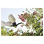Hozelock 4200 0000 PURE 2L Eco-Friendly Garden Pump Pressure Sprayer