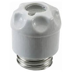 Mersen 00590.000200 DII Fuse 25A 500V Porcelain Screwcap Inspection Hole