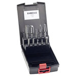 Rhodius 305484 Carbide Milling Set 10-Piece Common Cutter Shapes