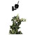 Smartwares CIP-39330 Mini CCTV Camera 1080p Full HD 130° Angle