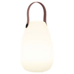 Smartwares OOO-50002 LED Desk Lamp 1W Warm White RGB Rechargeable