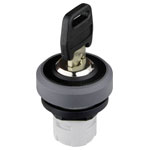 Schlegel RKSSA25 OKTRON R Key Switch Anthracite 1pc