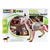 Revell X-Ray Anatomy Model Dog