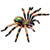 Revell X-Ray Anatomy Model Tarantula Spider