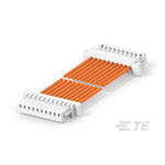 TE Connectivity 2405396-5 Cable Assembly 10P TO 10P 300MM