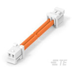 TE Connectivity 2405417-2 Cable Assembly 2P To 2P 300mm