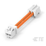 TE Connectivity 2405418-2 Cable Assembly 2P to 2P 300mm