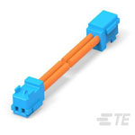 TE Connectivity 2405870-1 6-353908-2 CT Cable Assembly 2P 300MM