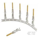 TE Connectivity 1924463-1 Pin Male SF Size 16 18-20 AWG AU/SN