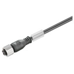 Weidműller 9457950200 Cable M12 One End Without Connector