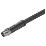 Weidműller 2706681000 Cable One End Without Connector M12
