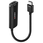 LINDY 38329 HDMI Adapter Black 0.157M 1XHDMI-1Xdisplayport-Micro USB