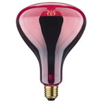Paulmann 20125 Infrared Lamp E-27 150W 125mm x 173mm 230V single unit