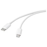 Renkforce RF-5042728 USB cable USB 2.0 USB-C to Lightning 1.00 m white