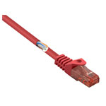 Renkforce RF-5047416 Network cable CAT 6 U/UTP Red 0.50 m Flame-retardant
