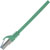 Renkforce RF-5088646 RJ45 CAT 6A Network cable green 0.15 m flame-retardant