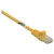 Renkforce RF-5224648 CAT 5e RJ45 patch cable yellow 0.15 m halogen-free