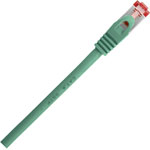 Renkforce RF-5503262 Network cable CAT 6 10m Green gold plated Flame-retardant