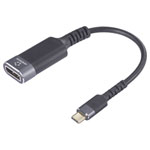 Renkforce Rf-6798310 USB-C To Displayport Adapter Black-Grey 4K UHD 0.20M