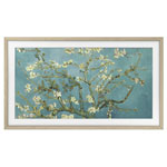 Samsung VG-SCFC32TKBXC Frame TV Accessory Black