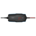 Ansmann 1001-0143-44 Lead Acid/LiFePO4 Battery Charger 6-12V/2A UK