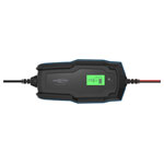 Ansmann 1001-0146-44 Lead Acid/LiFePO4 Battery Charger 6-12V/10A UK