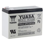 Yuasa REC10-12 Deep Cycle Cyclic Industrial VRLA Battery 12V 10Ah