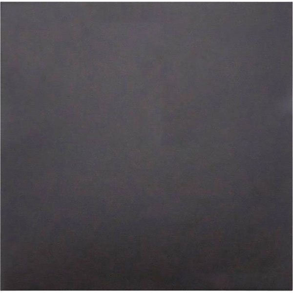 BUILDTAK 45896 Printing Bed Film 203 x 203mm